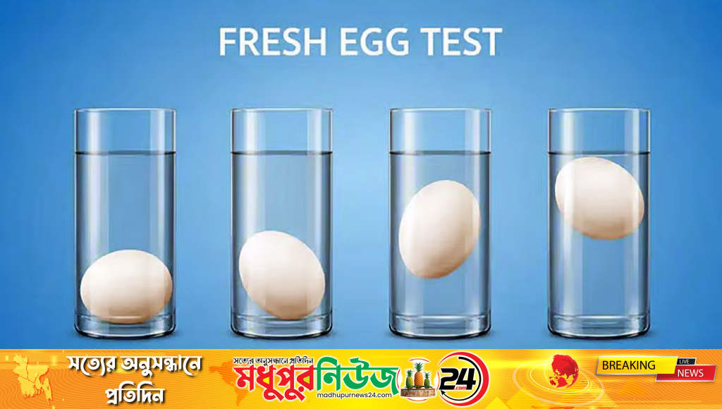 ডিম কেনার আগে সতেজতা ও গুণমান যাচাইয়ের সহজ উপায়
