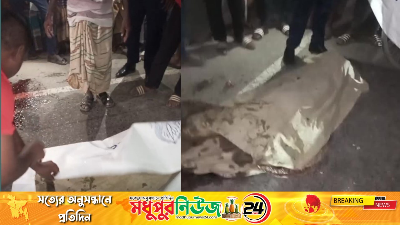 ধনবাড়ীতে ময়লা ফেলতে গিয়ে বাসচাপায় নারীর মৃত্যু