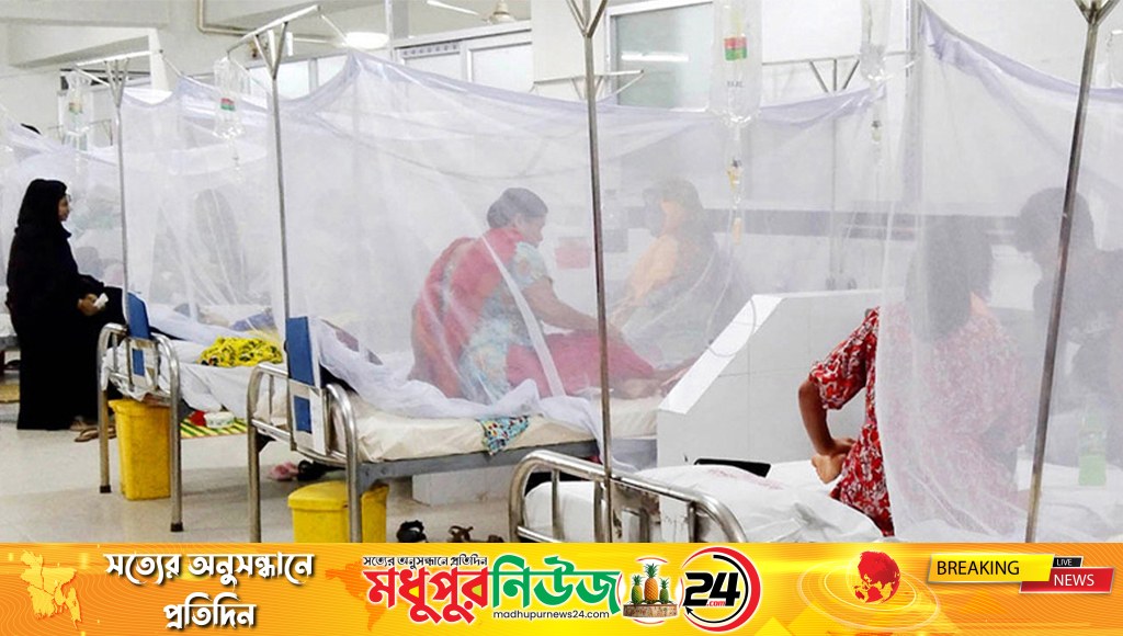 ডেঙ্গুতে ২৪ ঘণ্টায় ৯ জনের মৃত্যু, হাসপাতালে ভর্তি ১৯৯২